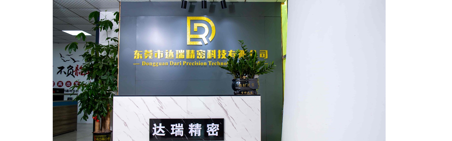Plastová forma, vstřikovací lis, plastová skořepina,Dongguan Darui Precision Technology Co., Ltd.